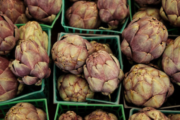 Farmer's Market fresh Produce.