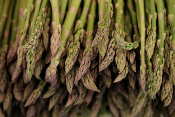Farmer's Market fresh Produce.