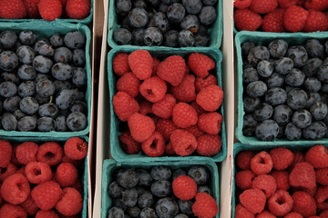 Farmer's Market fresh Produce.
