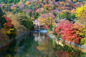 Beautiful landscape of Arashiyama with colorful of maple leaf beautiful of nature in autumn season Kyoto, Japan