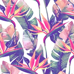 Abwaschbare Fototapete Paradies tropische Blume Exotische Blumen, Blätter in Retro-Vanillefarben auf pastellfarbenem Hintergrund
