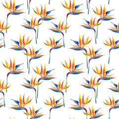 Simple watercolor tropical seamless pattern with bird-of-paradise flower.