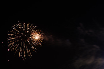 Fototapeta premium Fireworks on 4th of July