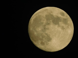 Fototapeta premium Czerwiec Full Moon