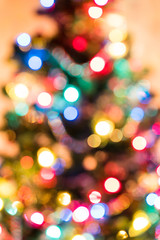 Obraz premium Christmas Tree Lights
