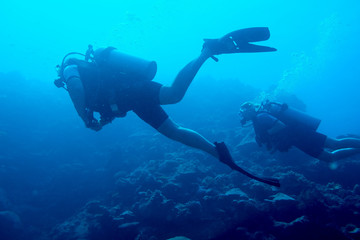 Naklejka na ściany i meble Scuba Diving over Reef