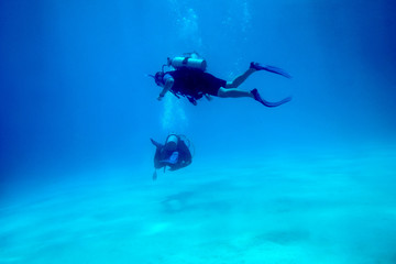 Scuba Divers over sandy bottom