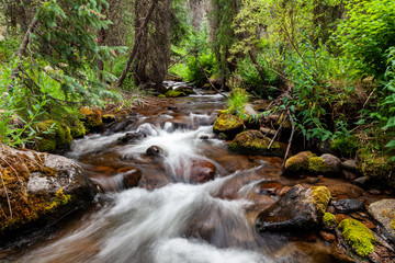 Flowing Rocky Mountain Creek 