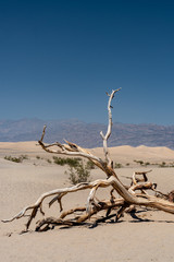 Death Valley, Mesquite Dunes