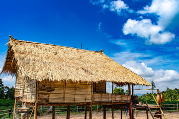 Fototapeta na wymiar Wooden houses built with materials are natural and clear sky.