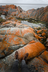 Bay of Fires Beautiful Landscape of Tasmania, Australia