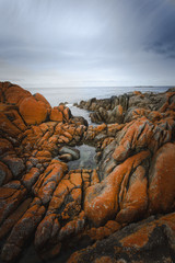 Bay of Fires Beautiful Landscape of Tasmania, Australia