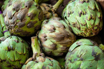 Obraz premium Artichoke flower buds