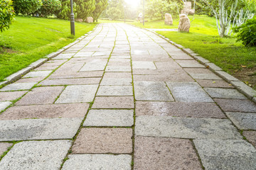 Green green forest in the park