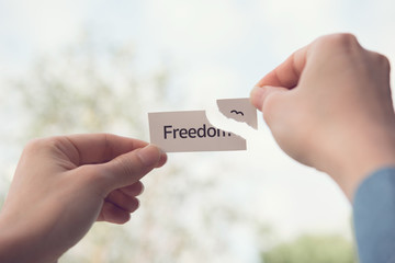 Freedom concept, Little birds flying escape out of paper.