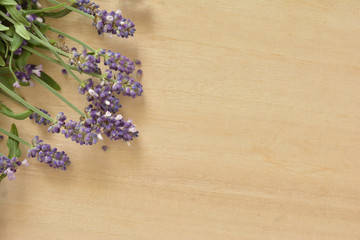 ラベンダー　木目背景

