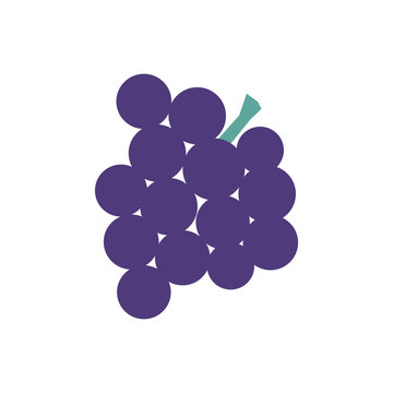 Grapes on white background illustration