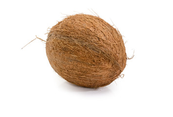 One ripe coconut fruit on a white background