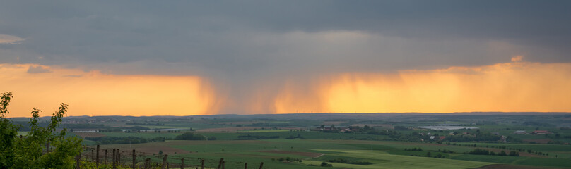 Regen am Abend im Weinberg