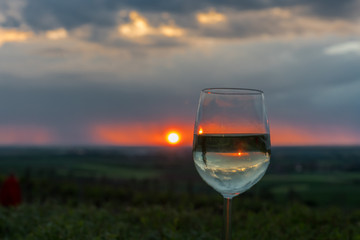 Regen am Abend im Weinberg