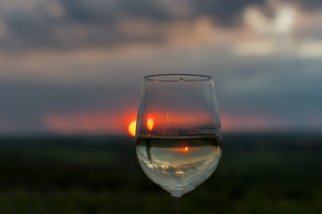 Regen am Abend im Weinberg