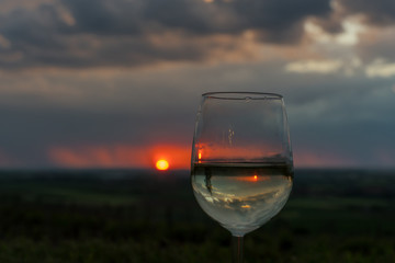 Regen am Abend im Weinberg