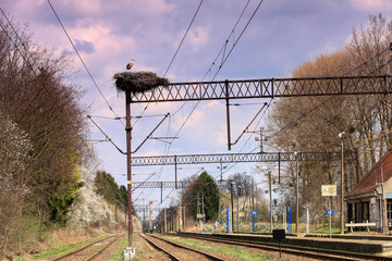 gniazdo bociana na kolejowej trakcji elektrycznej © Janusz Lipiński