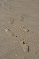 Fototapeta na wymiar Footprints in Sand
