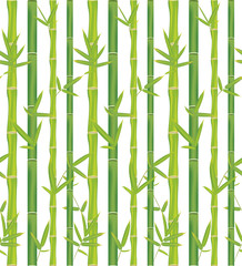 Fototapeta na wymiar Bamboo branches design