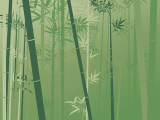 Bamboo forest scene