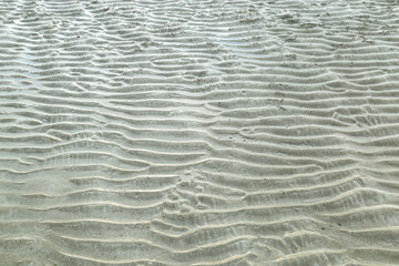 Obraz premium Sand texture background