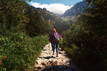 Obraz premium Woman backpack tracking sticks walking mountains Tatras Slovakia