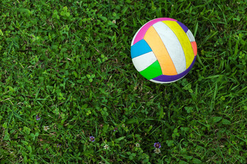 Colorful Volleyball on Grass - 212538732