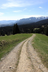 Wanderweg in den bayerischen Bergen