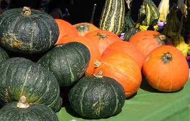 A Variety of Squash for Sale