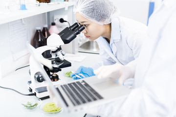 Fototapeta premium Side view portrait of Asian female scientist looking in microscope while doing research in medical laboratory