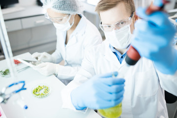 Fototapeta premium High angle portrait of two modern scientists working on medical research studying liquids in beaker while sitting at table in laboratory