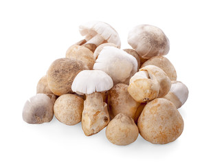 Straw mushrooms isolated on white background .