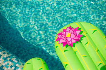 Colorful inflated cactus floating in a refreshing blue swimming pool