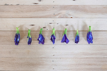 Butterfly pea, Blue pea dried flower (Clitoria ternatea L) on wood table
