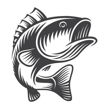 Vintage bass fish concept