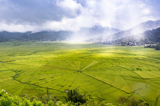 Aerial View of Lingko Spider Web Rice Fields While Sunlight Piercing Through Clouds to the Field with Raining. Flores, East Nusa Tenggara, Indonesia