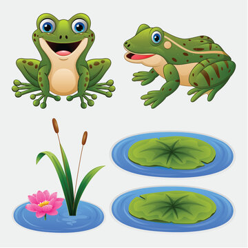 Set of cartoon frog and water lily