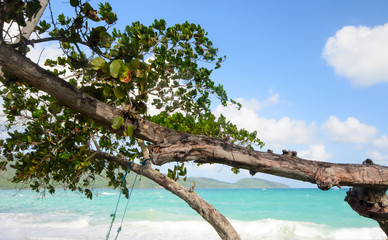 Welcome to the Caribbean paradise: rest, relaxation, dreaming and enjoying a lonely beautiful beach :)