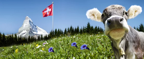 Fotobehang Matterhorn met koe en Zwitserse vlag © by-studio