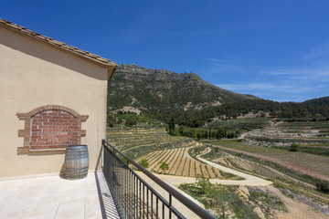 Barrel of wine on the background of the Valley of Vineyards and Mountains