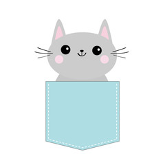 Cat in blue pocket. Cute cartoon character. Gray kitten Smiling kitty. Dash line. Pet animal collection. T-shirt baby design. White background. Isolated. Flat