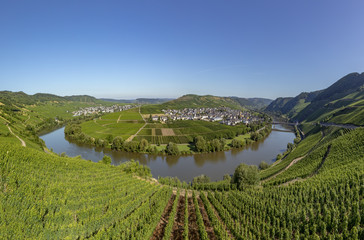 famous moselle sinuosity at  Leiwen called Zummet hights