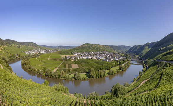 famous moselle sinuosity at  Leiwen called Zummet hights