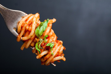Fork full of twirled italian spaghetti with a bolognese meat sauce and basil. Copy space. Italian food concept.